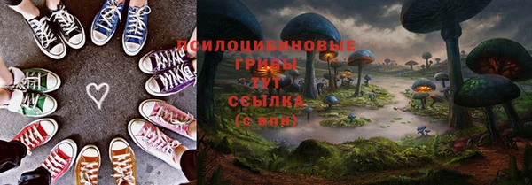 дмт Россошь