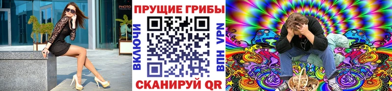 мориарти какой сайт  Бирюч  Псилоцибиновые грибы Magic Shrooms 