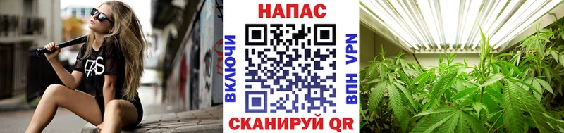 закладка  Бирюч  Бошки марихуана марихуана 